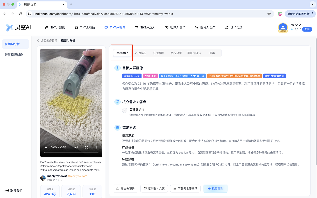 视频 AI 分析的目标用户画像结果